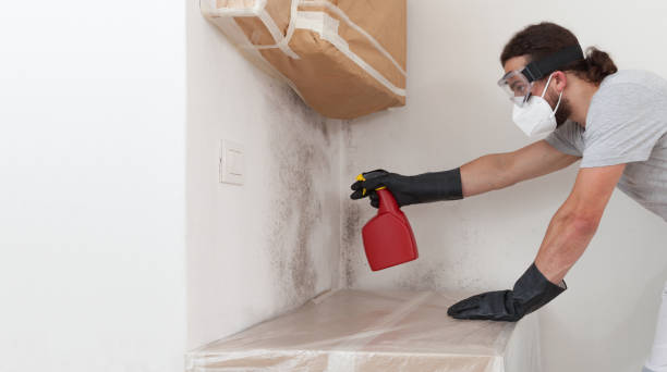 Professional Mold Remediation technician working in Groveland, MA